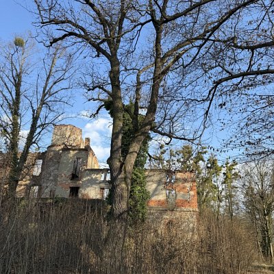 GRUNDSTÜCKE  -  VERKAUF